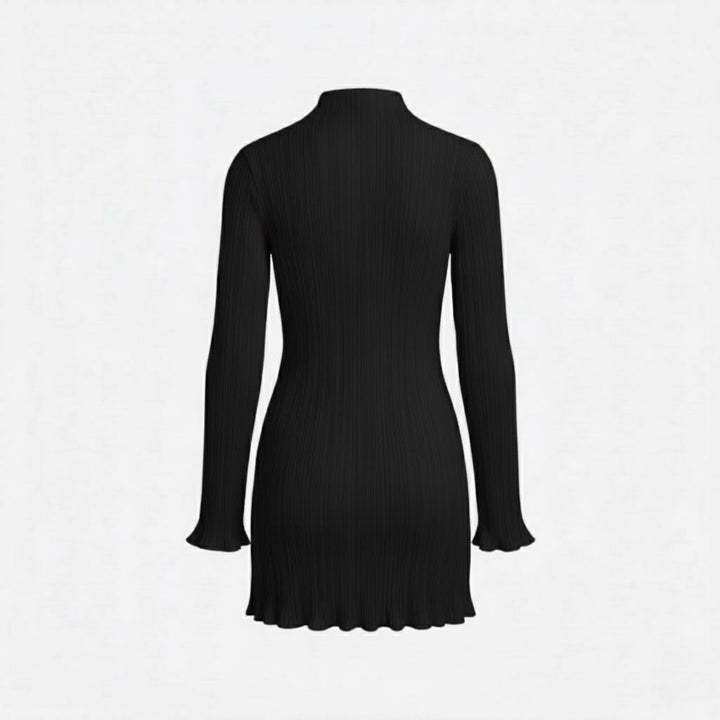 Women’s Ribbed Knit Dress with High Neck and Long Sleeves