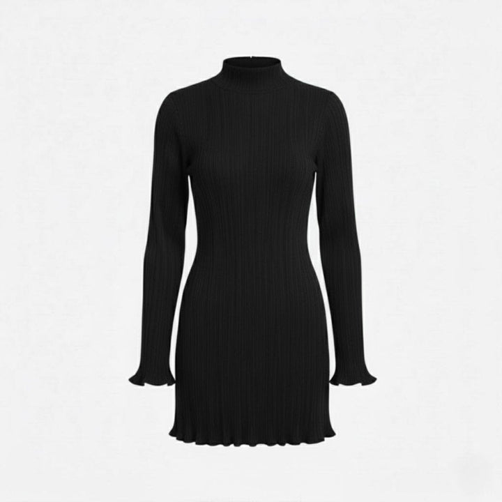Women’s Ribbed Knit Dress with High Neck and Long Sleeves