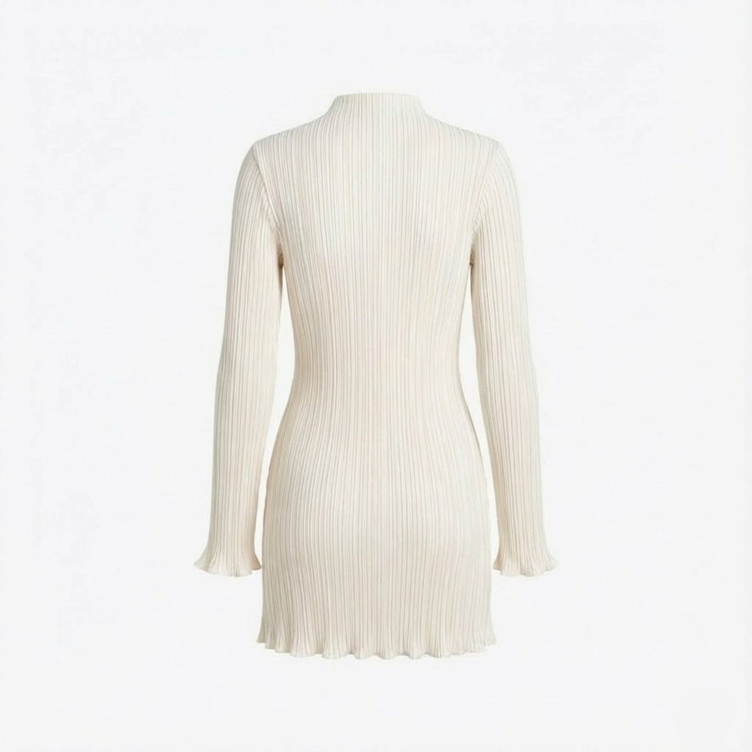Women’s Ribbed Knit Dress with High Neck and Long Sleeves