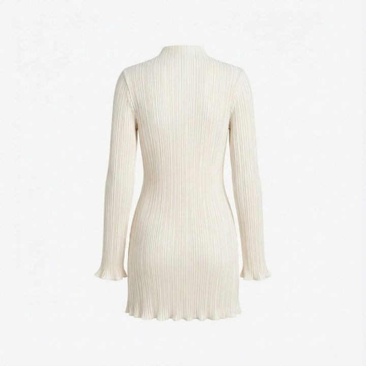 Women’s Ribbed Knit Dress with High Neck and Long Sleeves